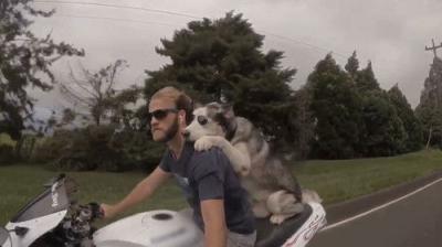 Neighborhood Wars