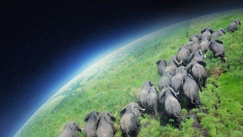 Planet Earth filmas žiurėti online