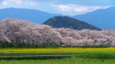 The Seasons of Yamato