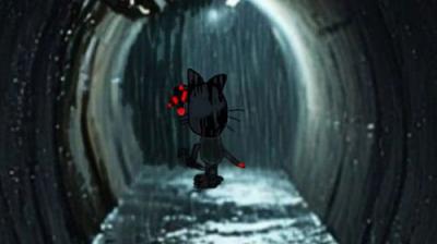 Smudge's Adventures