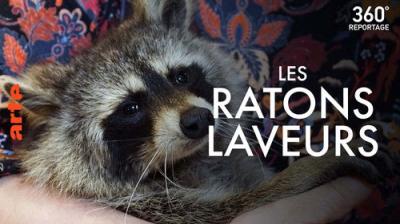 ARTE 360° Reportage