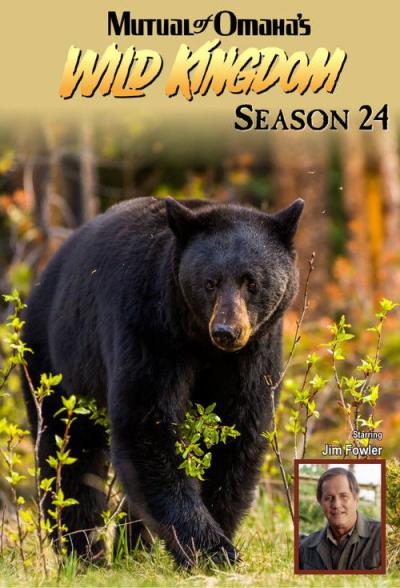 Mutual of Omaha's Wild Kingdom filmas online