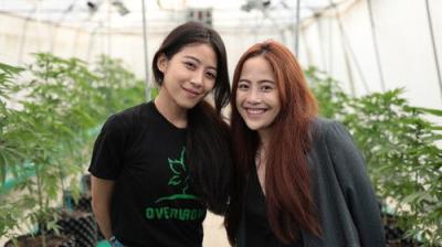 Foreign Correspondent