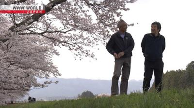 Hometown Stories