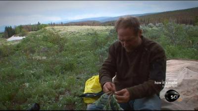 Survivorman