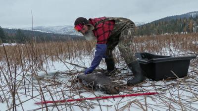 Mountain Men