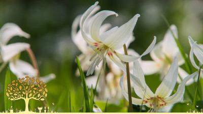 Gardeners' World