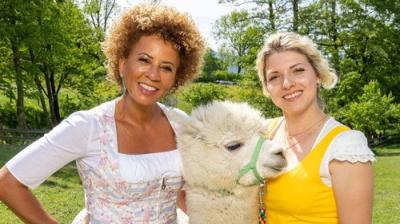 Bauer sucht Frau