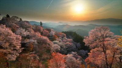 The Seasons of Yamato