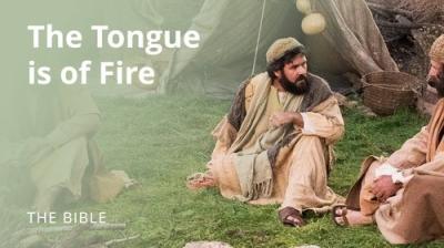 The Life of Jesus Christ