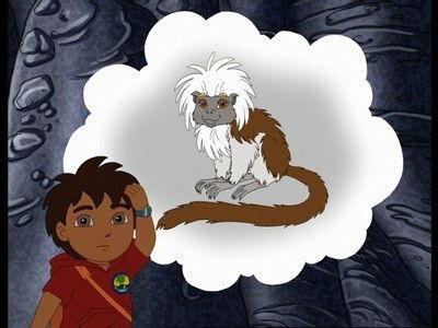 Go, Diego, Go!