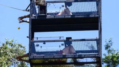 I'm a Celebrity...Get Me Out of Here!