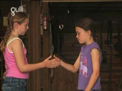 The Saddle Club