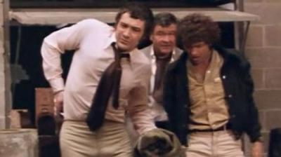 The Professionals