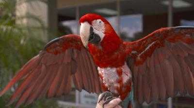 Dr. K's Exotic Animal ER