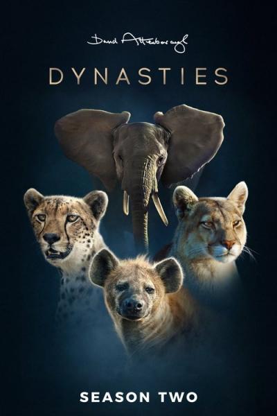 Dynasties filmas online
