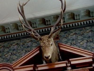 Monarch of the Glen