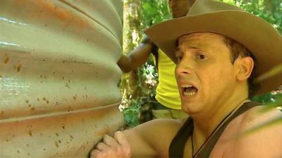 I'm a Celebrity...Get Me Out of Here!