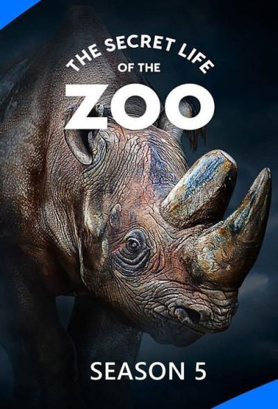 The Secret Life of the Zoo filmas online