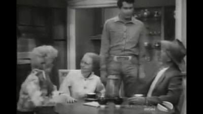 The Beverly Hillbillies