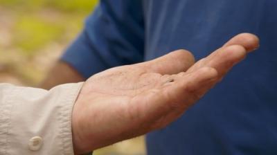 The Curse of Oak Island