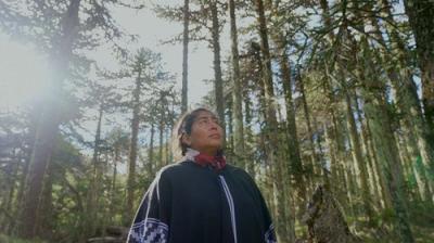 Patagonija. Gyvenimas pasaulio pakraštyje