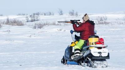 Life Below Zero