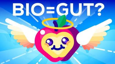 Kurzgesagt - In a Nutshell