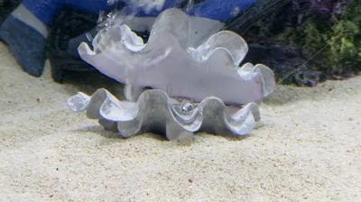 Tanked