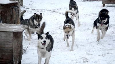 Life Below Zero