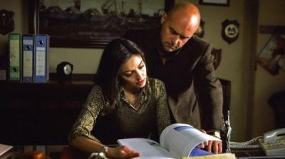 Il Commissario Montalbano