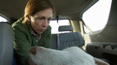 Dr. Oakley, Yukon Vet
