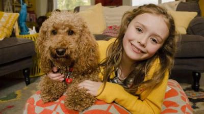Waffle the Wonder Dog