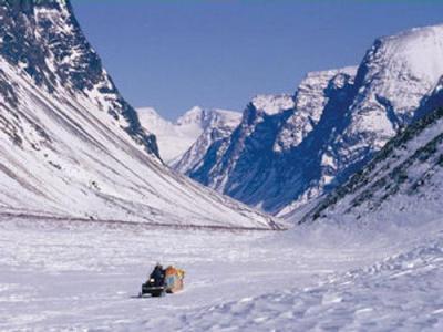 I Shouldn't Be Alive