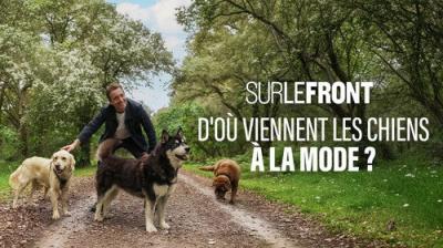 Sur le front