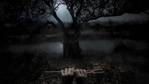 Stephen King's Kingdom Hospital filmas žiurėti online