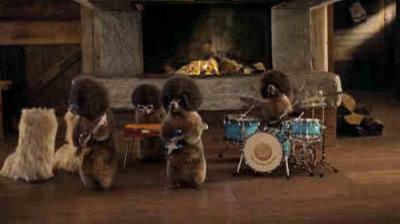 Les Marmottes