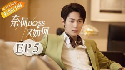 奈何BOSS又如何