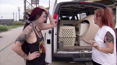 Pit Bulls and Parolees