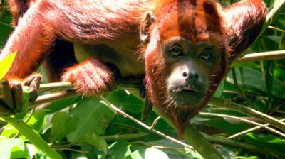 Earth Odyssey with Dylan Dreyer