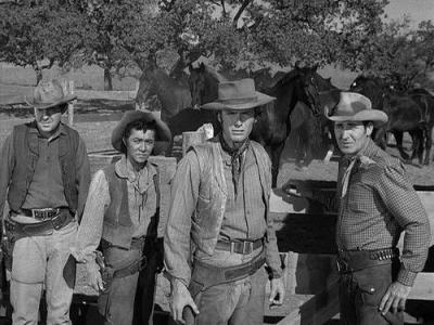 Rawhide