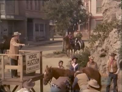 Bonanza