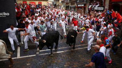 Vive San Fermín