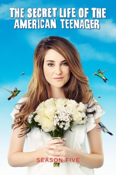 The Secret Life of the American Teenager filmas online