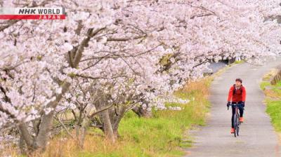 Cycle Around Japan
