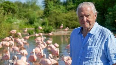 David Attenborough's Natural Curiosities