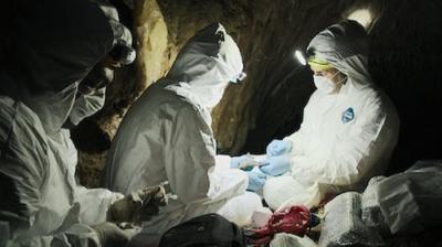 Pandemic: How to Prevent an Outbreak
