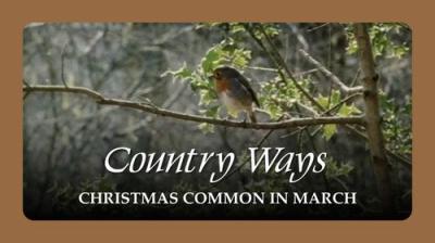 Country Ways