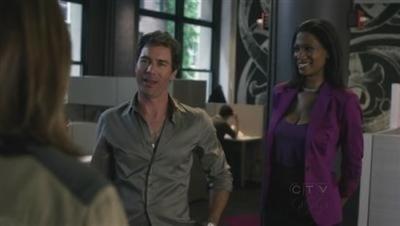 Įstatymas ir tvarka. Specialiųjų tyrimų skyrius