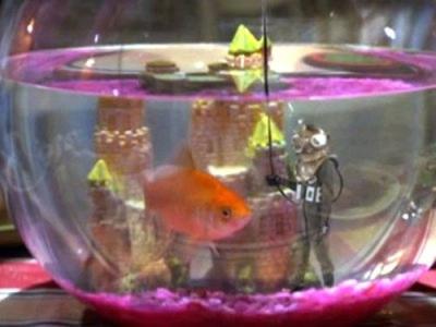 Sabrina, the Teenage Witch